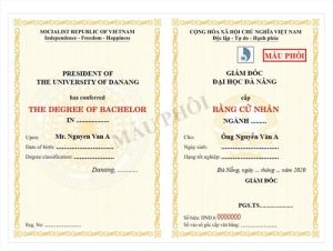 Tất Cả Thông Tin Về Làm Bằng Đại Học Bách Khoa Đà Nẵng