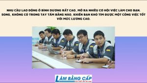 Dịch Vụ Làm Bằng Giả Ở Bình Dương Uy Tín Giá Rẻ