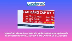 Làm Bằng Đại Học Chất Lượng Ở Đâu?