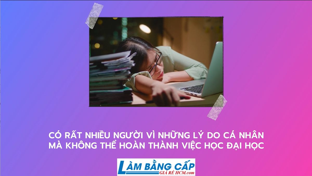 Mua Bằng Đại Học Hồng Bàng Tại HCM Bảo Mật, Giá Rẻ