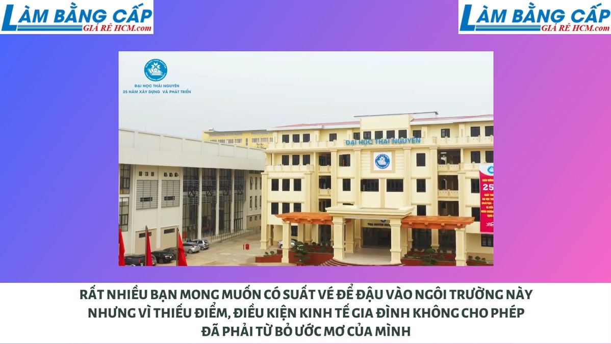 Làm Bằng Đại Học Thái Nguyên Ở Đâu?