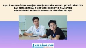 Làm Bằng Đại Học Giả Có Hồ Sơ Gốc Uy Tín Chất Lượng