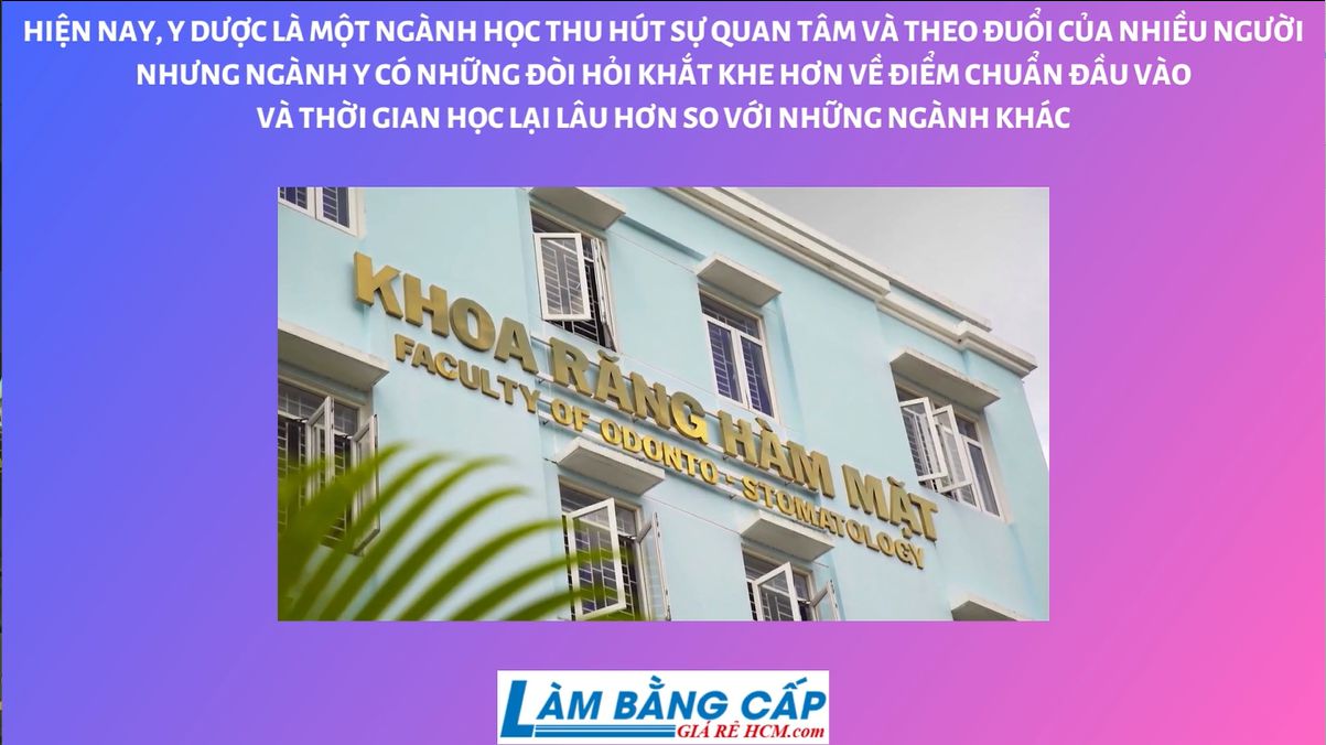 Làm Bằng Đại Học Y Dược Có Hồ Sơ Gốc Để Xin Việc Làm