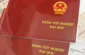 Dịch Vụ Làm Bằng Đại Học FPT Số 1 Toàn Quốc