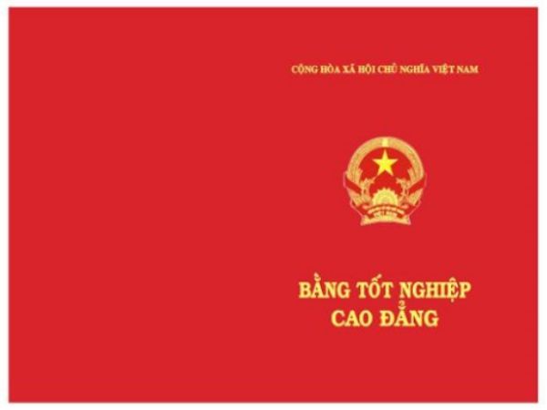 Vì Sao Người Ta Tìm Đến Dịch Vụ Làm Bằng Cao Đẳng Tại Hà Nội