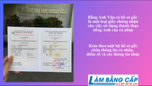 Làm chứng chỉ tiếng anh có hồ sơ gốc