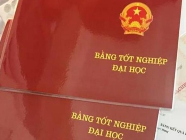 Trường đại học nào nên chọn để làm bằng đại học chính quy ?