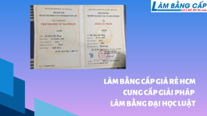 Làm Bằng Đại Học Luật Đầy Đủ Hồ Sơ Và Bảng Điểm Lấy Ngay