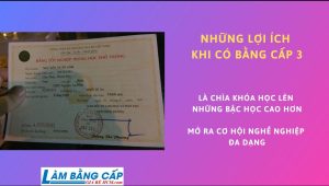 Làm Lại Bằng Cấp 3 Bị Mất Ở Đâu? Thủ Tục Ra Sao?