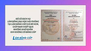 Làm Bằng Đại Học Tại Hải Phòng Bao Công Chứng Xin Việc