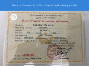 Làm Bằng Cấp 3 Kèm Học Bạ Giá Rẻ Bao Xuất Khẩu Lao Động